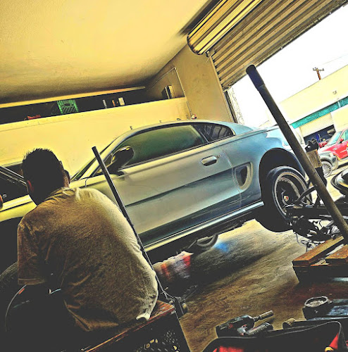 Autoology Automotive